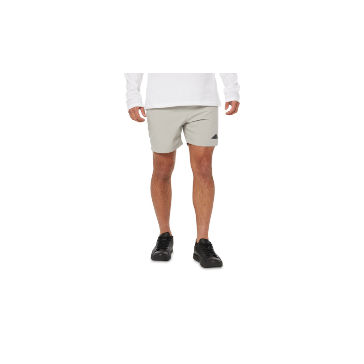 Grey Caterpillar Foundation Swim Trunk Men's Shorts | Cat-701845